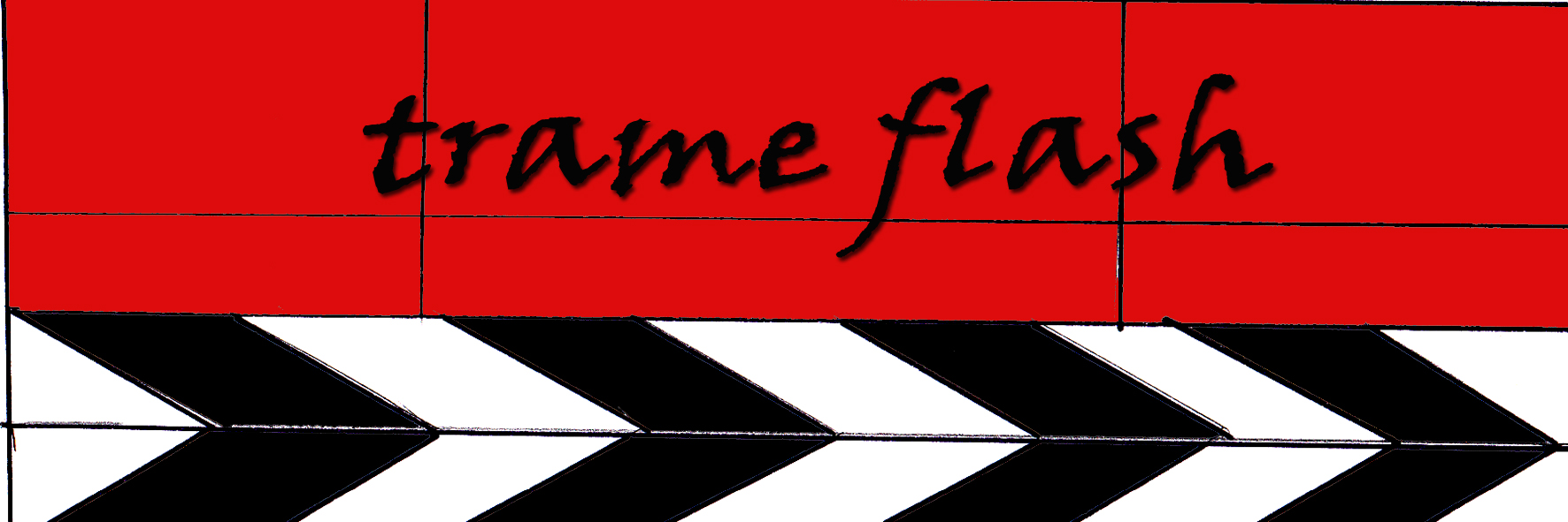 Cornice composta da un ciak su cui è scritto: 'trame flash'