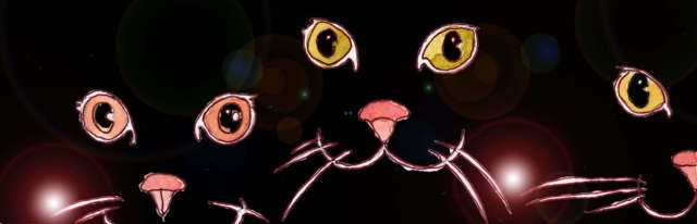 Immagine di tre gatti (Per leggerne la descrizione proseguire nel link). Si vedono i musi di tre gatti neri su sfondo nero. Si distinguono gli occhi, le vibrisse, i nasi.