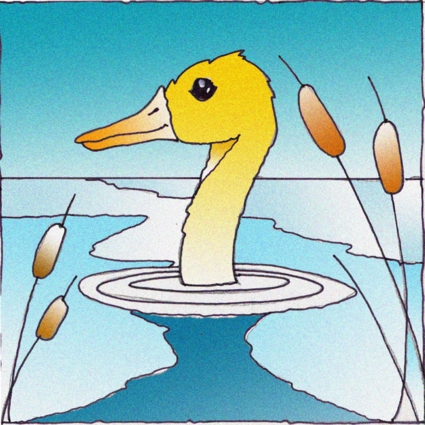 Nemo e le storie dell'anello : Indice Schede animali